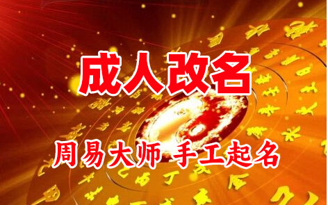 漳州成人改名-找大师一对一改名先分析后改名